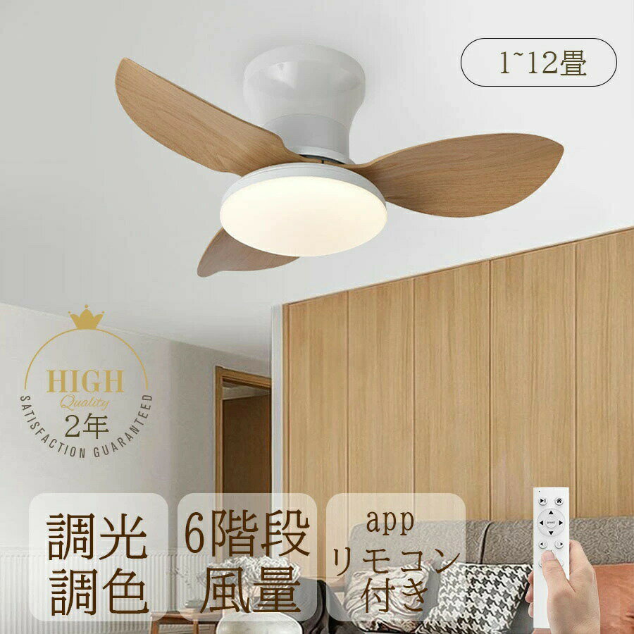 ں2000OFF&P10!ۥ󥰥ե 󥰥ե饤 LED 6ʳ ľդ ᤭ȴ ĴĴ  3 ľ...