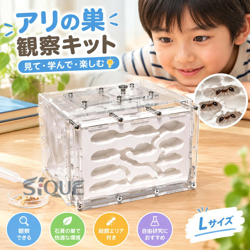 商品情報 商品詳細 ■タイプ：石膏の巣 ■サイズL：15.5 * 13.5 * 11cm ■素材：石膏+アクリル ■拡張ポート： L：2 ■対象：Tertaponera rufonigra、Harvester、Camponotus、Polyrhachisおよびその他の種類のアリ。 ■注意：アリのないアリ農場のみ。 ■特徴 1.湿った材料として石膏を使用することは、生きている蟻により適しています。 2.水分がゆっくりと巣室に広がり、蟻は住むのに適した場所を選びます。 3.湿潤剤として高密度石膏を使用しており、吸水性が遅いため、ゆっくりと水を加えることをお勧めします。 4.サイズM / S / L / XLの水を1回あたり最大5ml / 8ml / 10ml追加します。 5.蟻は食べ物を保管する習慣があるので、巣の巣室が組み込まれていて、食べ物が巣の領域に引きずり込まれ、掃除が簡単ではありません。注意を払う。 ■パッケージに含まれるもの:アリファーム1セット 備考 ※商品について何かご質問がありましたら、お気軽にご連絡ください。弊店の商品は安心保証がございますので、ご安心ください。 ※運送途中に損害をもたらす可能性があり、ご心配なくお気軽に弊社とご連絡ください。 ※撮影の為、画質等の関係上、色などが実際の商品と若干違ってしまうこともあるかもしれませんが、ご理解のほどご購入ください。予めご了承ください。 ※更新のタイミングによっては実在庫に相違が出る場合がございます。万が一在庫切れや入荷待ちとなる場合は別途メールにてご連絡いたします。 【原産国／製造国: 中国】 .虫かご、飼育ケース、アリの巣、蟻、観察、キット、飼育セット、実験セット、石膏、アクリル、給餌エリア、Lサイズ、自由研究、小学生、あり、蟻、おもしろ実験、夏休み、学習用、アリ飼育ケース、昆虫観察、研究教材、子供、学習教材、透明ケース、飼育用品、観察キット、理科実験を探す方におすすめ。人気のアリ観察セットです。。 指定された配送時間は承っておりません。【ティーエヌケー】