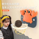 お買い物マラソン【P5倍】バスケットゴール 移動可 子供 屋外 室内 野外 家庭用 コンパクト ポータブルバスケットゴール バスケットゴールスタンド バスケ 練習用 自主練 持ち運び こども 小学生 プレゼント