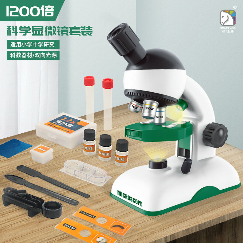 㤤ʪޥ饽5ܡۤ͡¹Υץ쥼Ȥ˺Ŭؽ 1200x  ¸ ΰ  ʪȿ͸ Ҷκʳؤؤζ̣...