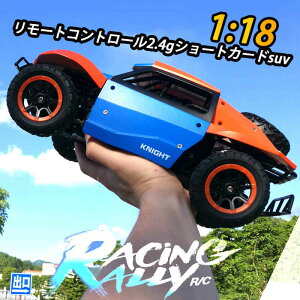 㤤ʪޥ饽P5ܡۥ硼ȥ4饸 饸󥫡 RC 饸 1/18ưեɥХ 2° 2.4GHZ 4WD å顼 ե25km/h⥳󥫡 ɿ 饸 ե Ͷ Ҥɤ Ҷ  ʪ  £ʪ