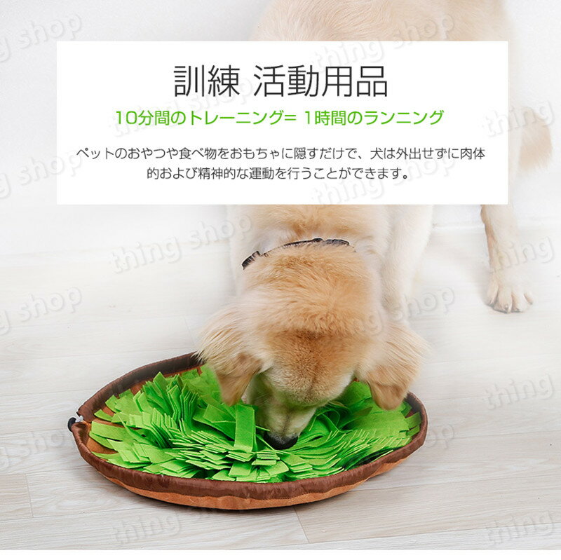 サンプル画像2