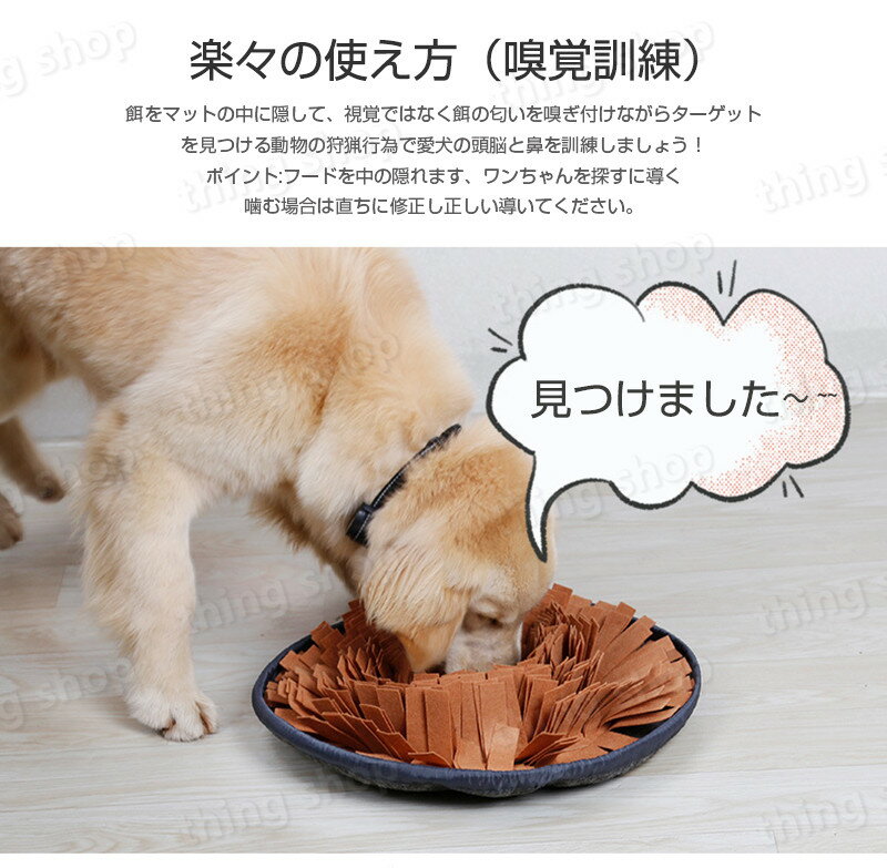 サンプル画像3