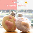 お買い物マラソン【P5倍】抱き枕 毛布付き かわいい 35*40 創意毛布 ふわふわ 背当て ブランケット 柔らかい 通気 無地 軽量 シングル あったか 布団...