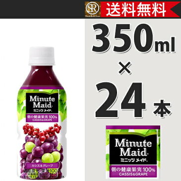コカ・コーラ社製品 ミニッツメイドカシス&グレープ 350mlPET 1ケース 24本 ペットボトル 送料無料 【d104-0】