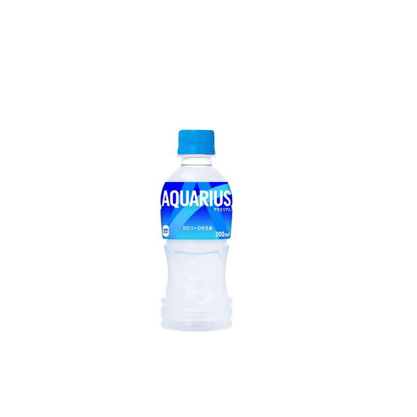 RJER[Аi ANGAX PET 300ml 1P[X 24{  yd119-0z