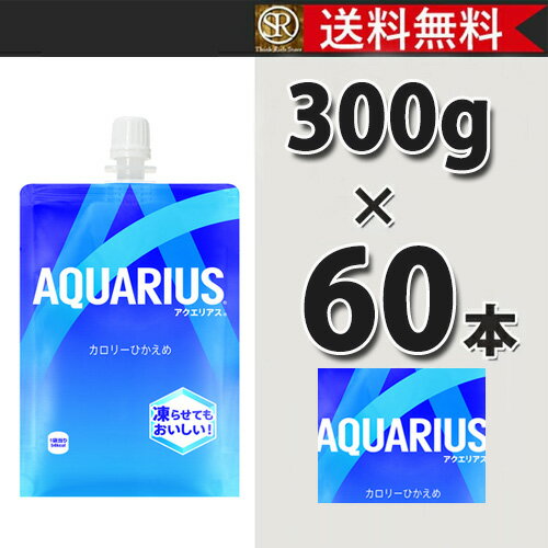 コカ・コーラ社製品 アクエリアス 300gハンディーパック 2ケース 60本 送料無料 【d237-2】