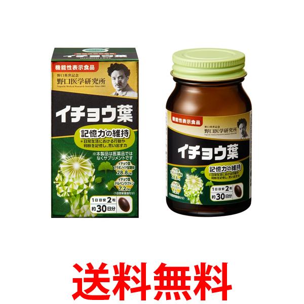 野口医学研究所 イチョウ葉 DHA EPA 60粒（約30日分） 送料無料 【SK00439】