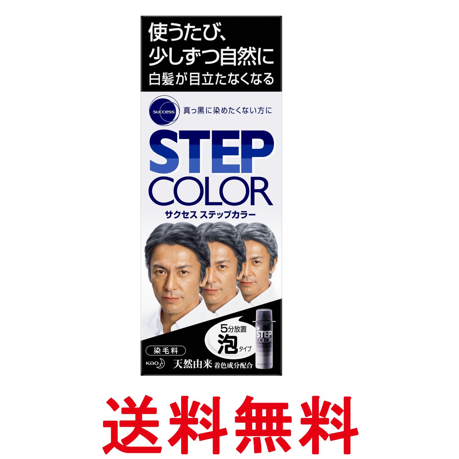 花王 サクセス ステップカラー 110g 白髪染め 送料無料 【SK00810】