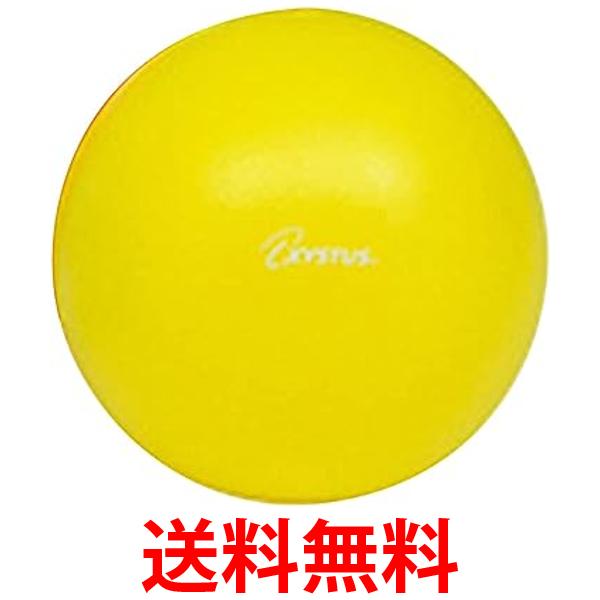 CASIO FX-JP500-N　カシオ 電卓 関数電卓 高精細 日本語表示 関数・機能500以上 土地家屋調査士試験対応 送料無料 【SK01489】