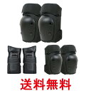 スケートボード プロテクター タートルプロテクター 膝・肘・手首 6点セット エクストリームスポーツ 保護パッド (管理S) 送料無料 【SK06272】