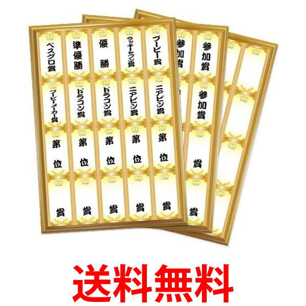 ゴルフコンペ用 ゴルフコンペ 賞名（順位）シール 手書き 表彰式 演出 送料無料 【SK06472】