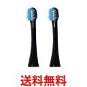 パナソニック EW0913-K イオン用密集極細毛ブラシ 黒 2本入 イオン対応ドルツ専用 Panasonic 送料無料 【SK06799】