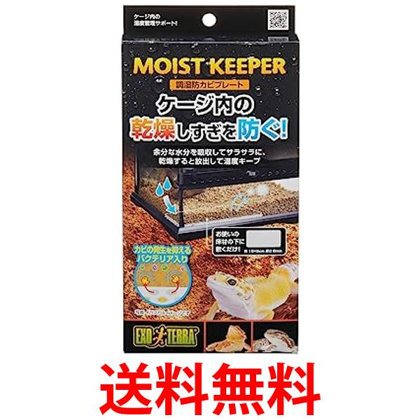 ジェックス EXOTERRA 調湿防カビプレート 爬虫類 両生類 GEX 送料無料 【SK12639】