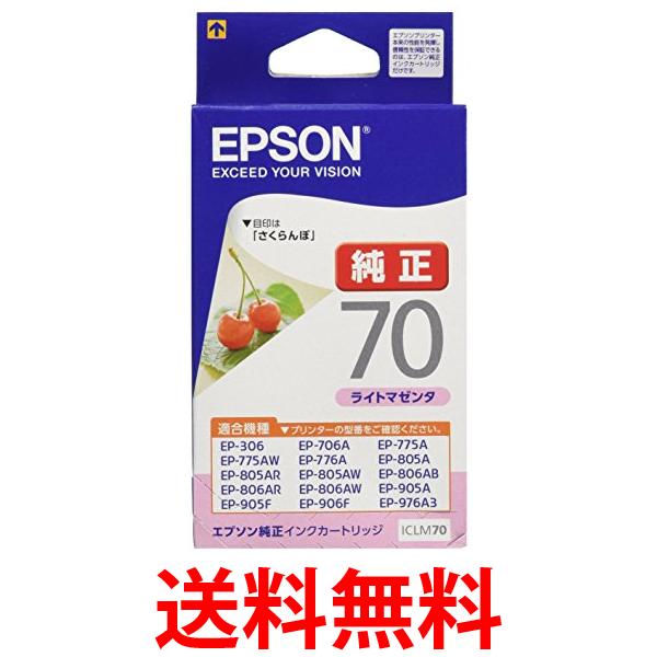 ץ ICLM70 󥯥ȥå 饤ȥޥ   EPSON ̵ SK12727