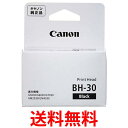 キャノン BH-30 プリントヘッド 純正 Canon 送料無料 【SK12929】