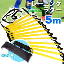 トレーニング ラダー サッカー フットサル バスケット トレーニング 敏捷性 5m プレート 9枚 イエロー ブラック 黄 黒 (管理S) 送料無料 【SK14...