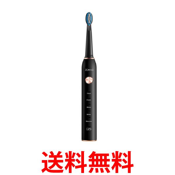 電動歯ブラシ 歯ブラシ 本体 替えブラシ 8本 口内ケア 歯磨き USB充電式 IPX7防水 (管理S) 送料無料 【SK15358】