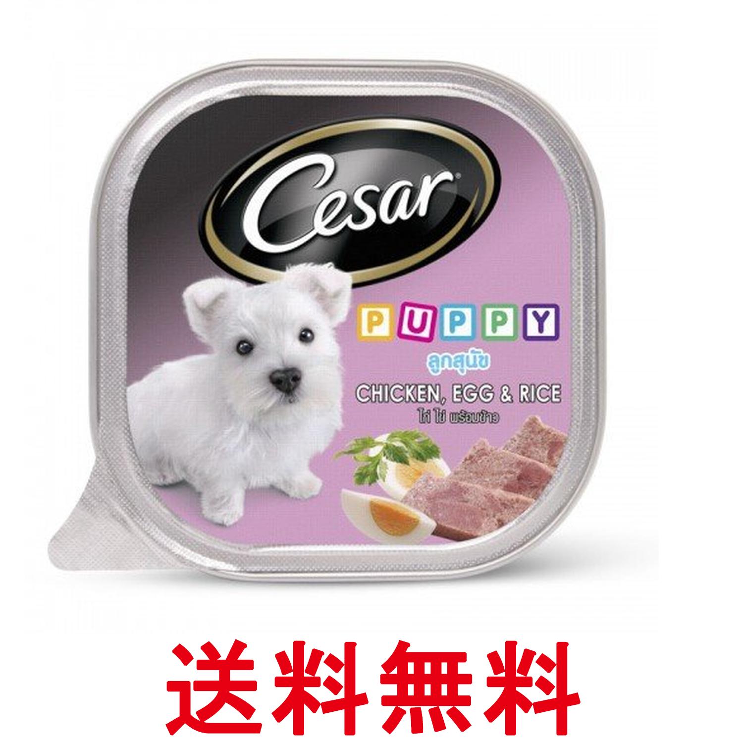 Rakuten - マースジャパン シーザー 2ヵ月からの子犬用 ビーフ にんじん・たまご入り 100g 送料無料 【SK15379】