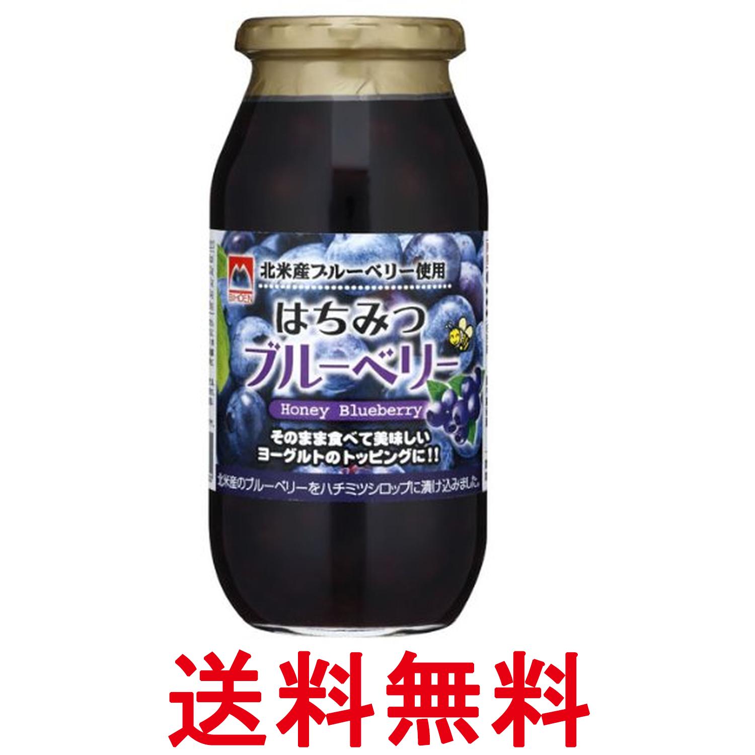加藤美蜂園 はちみつブルーベリー 650g 送料無料 【SK17486】