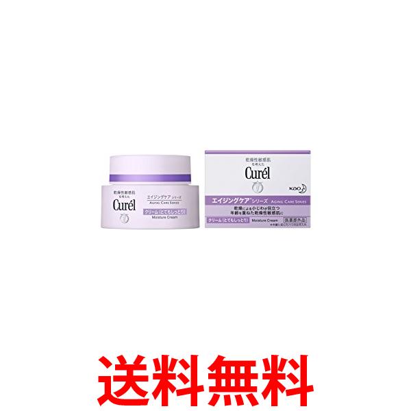 10�ĥ��å� ������ �������󥰥��� ���꡼��40g ����̵�� ��SK20195��