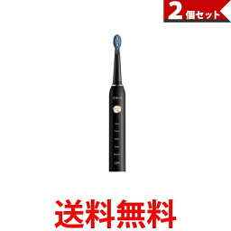 2個セット 電動歯ブラシ 歯ブラシ 本体 替えブラシ 8本 口内ケア 歯磨き USB充電式 IPX7防水 (管理S) 【SK20471】