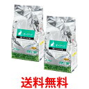 2個セット ハイペット プロセレクト オーツヘイ 600g うさぎ モルモット チンチラ 牧草 送料無料 【SK21016】