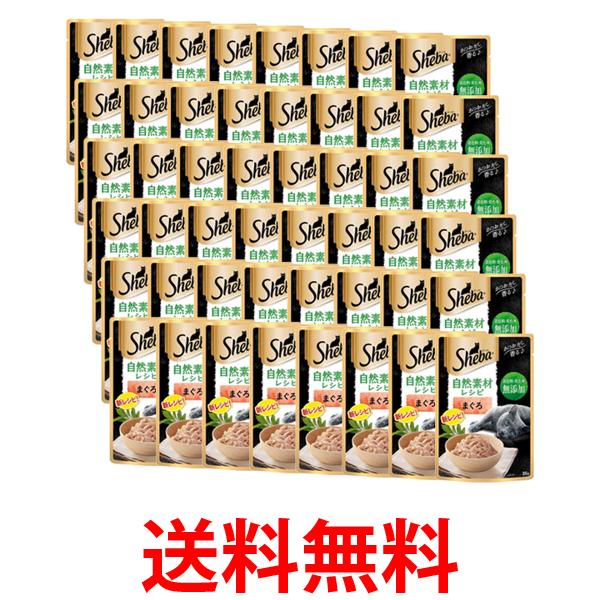 48�ĥ��å� ������ �����Ǻ�쥷�� �ޤ���35g ��ǭ�� ����̵�� ��SK25026��