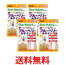 4個セット アサヒ ディアナチュラスタイル ブルーベリー×ルテイン+マルチビタミン 60粒 (60日分) パウチタイプ Dear Natura 送料無料 【SK...