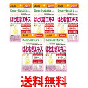 5個セット アサヒ ディアナチュラスタイル はとむぎエキス 20日分 40粒 Dear-Natura 送料無料 【SK25407】