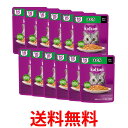 12個セット カルカン パウチ 15歳から まぐろ 60g ペットフード 猫 キャットフード ウェット 送料無料 【SK25497】