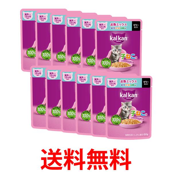 12�ĥ��å� ���륫�� �ѥ��� 12����ޤǤλҤͤ��� �����ߥå��� �ޤ��������Ĥ�����ȵ����� 60g ����åȥա��� ǭ ����̵�� ��SK25511��