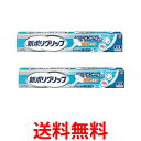 2個セット 新ポリグリップ 部分 総入れ歯安定剤 極細ノズル メントール配合 70g 送料無料 【SK25601】