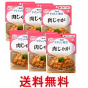 6個セット キユーピー Y2-20 やさしい献立 肉じゃが 100g 介護食 区分2 歯ぐきでつぶせる kewpie 送料無料 【SK25734】