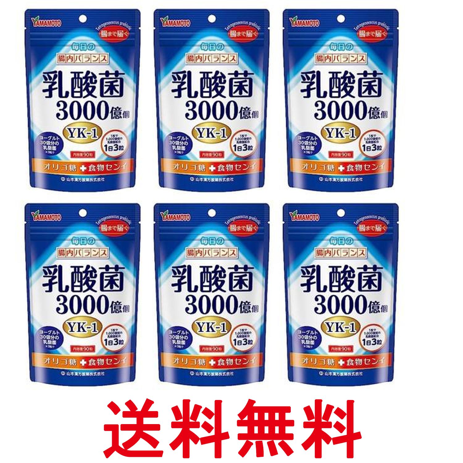 6個セット 山本漢方製薬 乳酸菌粒 90粒 送料無料 【SK26498】
