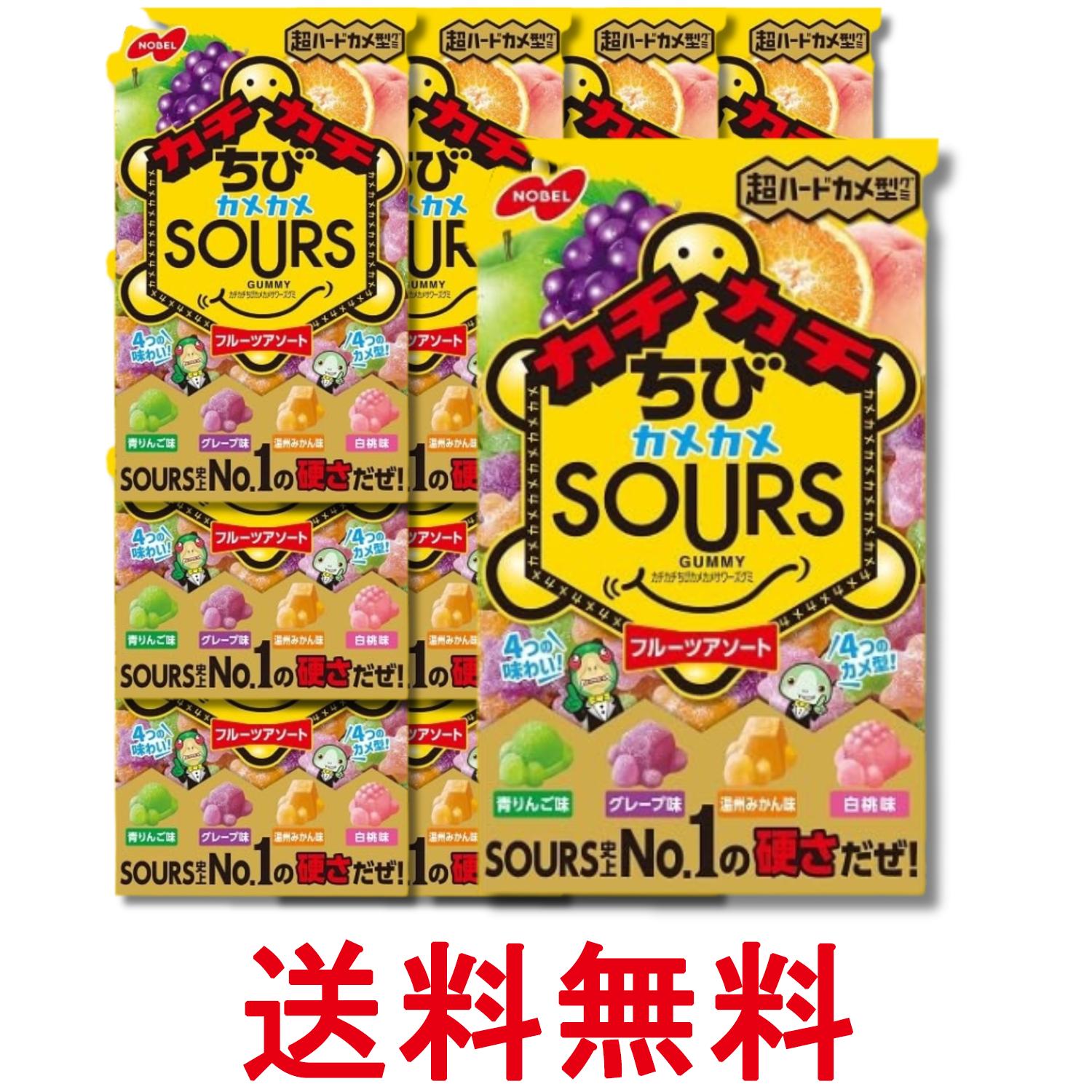 12個セット ノーベル カチカチちびカメカメサワーズ フルーツアソート 70g 送料無料 【SK28999】