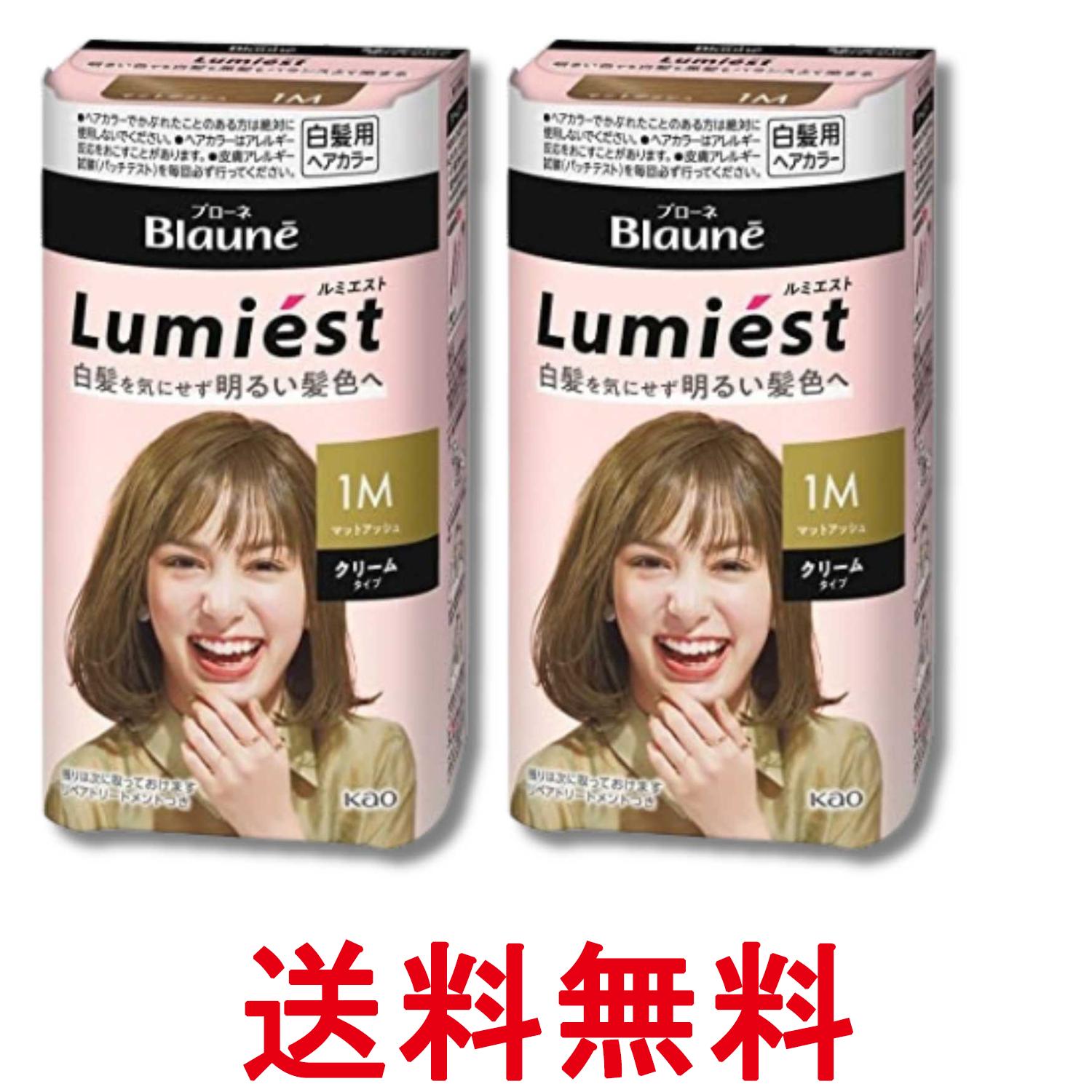 2個セット 花王 ブローネ ルミエスト ヘアカラー 1M マットアッシュ クリームタイプ 白髪用ヘアカラー 白髪染め 108g 送料無料 【SK33569】