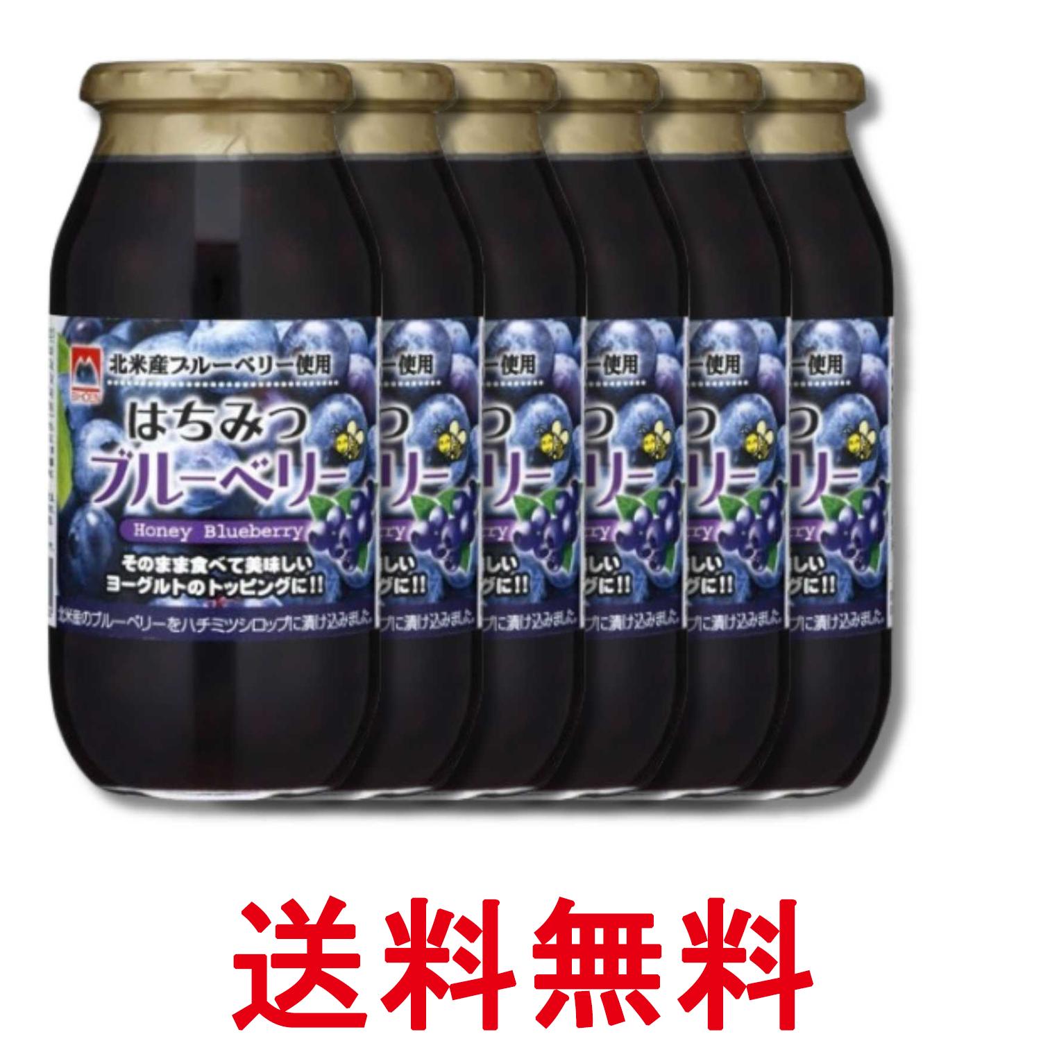 6個セット 加藤美蜂園 はちみつブルーベリー 650g 送料無料 【SK36216】