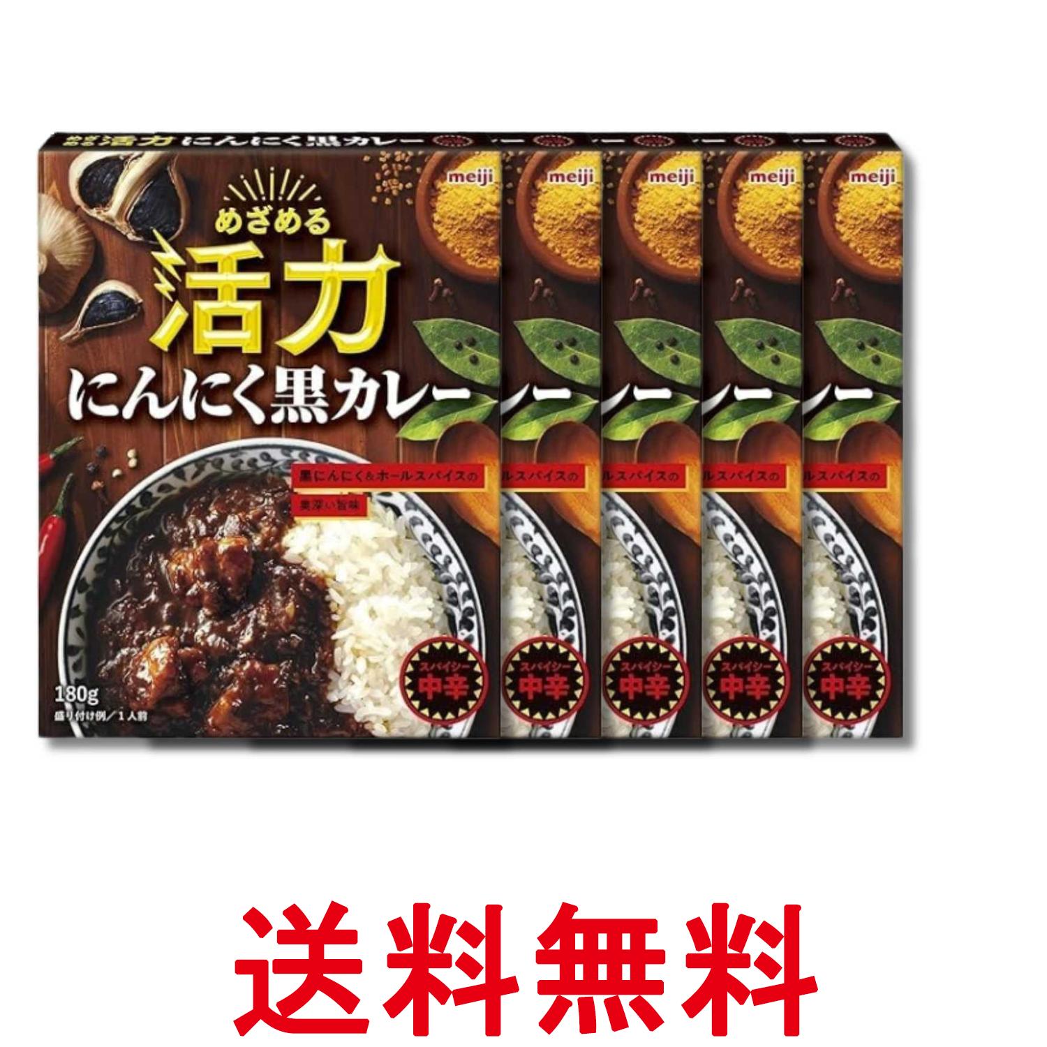 5個セット 明治 めざめる活力 にんにく黒カレー 180g レトルト 送料無料 【SK37050】