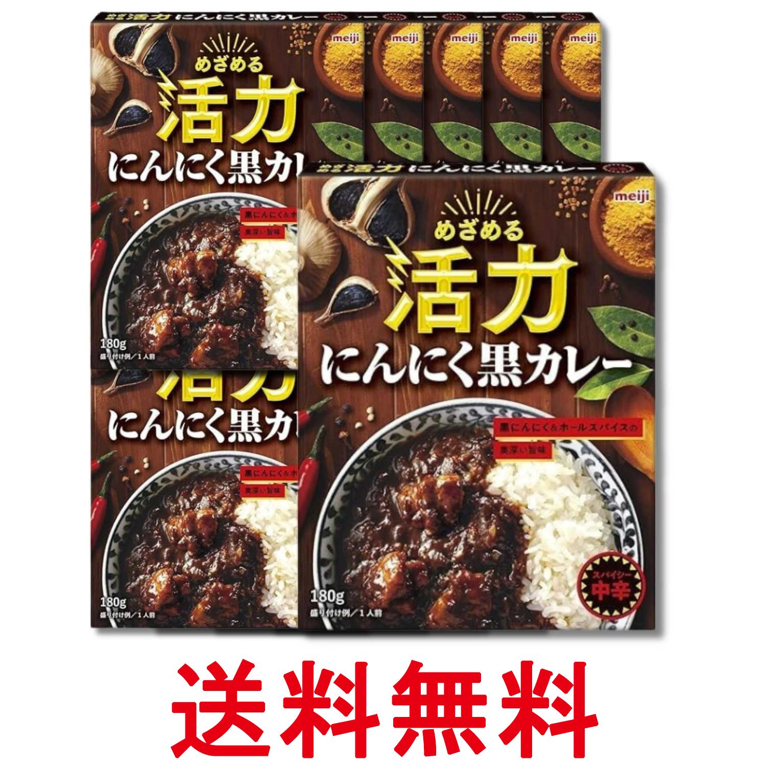 10個セット 明治 めざめる活力 にんにく黒カレー 180g レトルト 送料無料 【SK37051】