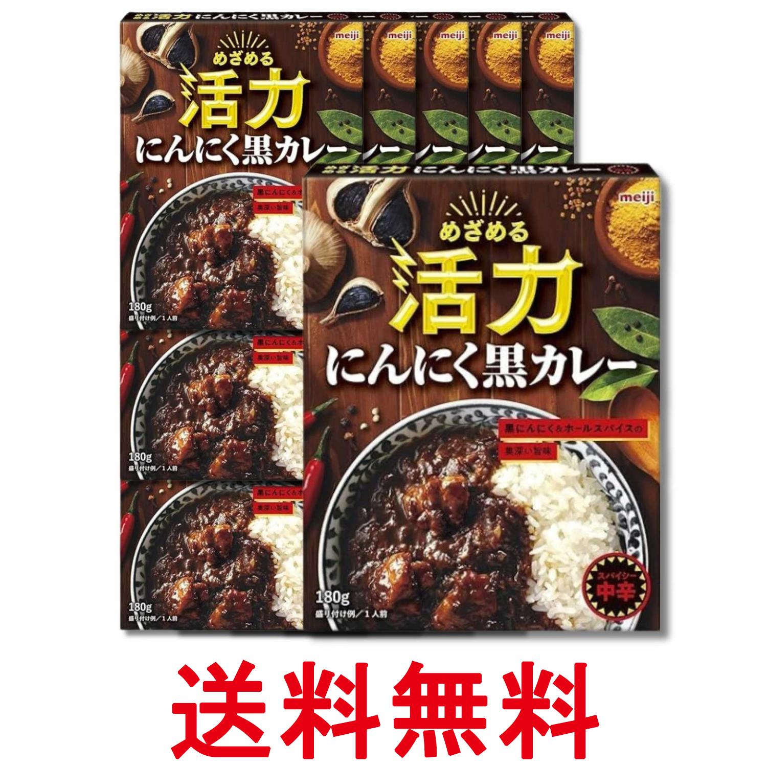 15個セット 明治 めざめる活力 にんにく黒カレー 180g レトルト 送料無料 【SK37052】