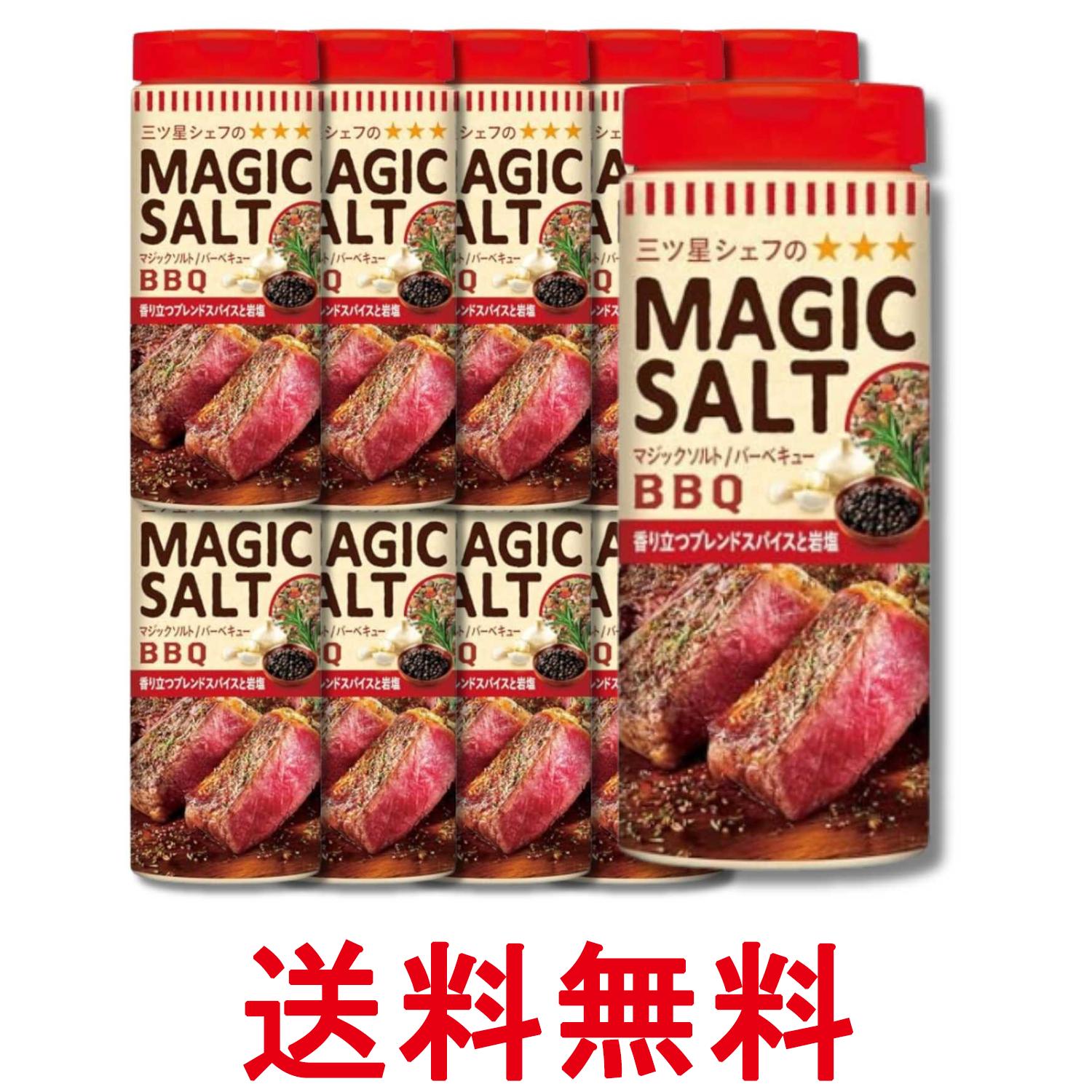 10個セット エスビー食品 マジックソルト バーベキュー 80g 送料無料 【SK38547】