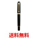 呉竹 DBA140-1 くれ竹万年筆 夢銀河 黒 送料無料 【SG40225】