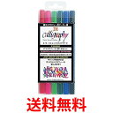 呉竹 TC-3100/6V ZIG カリグラフィー 6色セット 送料無料 【SG40462】