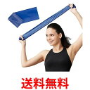 ディーアンドエム セラバンド TBE-4 青 初心者向け 1m 強度レベル+2 ブルー マニュアル付 D&M 送料無料 【SG43904】(4)