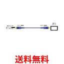JVCケンウッド ビクター Sプラグ-Sプラグ 1M 24金メッキ VC-S110G 送料無料 【SG60939】
