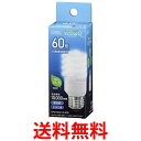 オーム電機 エコ電球(60形相当/732lm/昼光色/E26) 送料無料 【SG63341】