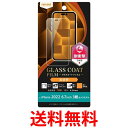 レイ・アウト iPhone 14 Pro Max フィルム 10H ガラスコート 衝撃吸収 光沢 RT-P39FT/T12 送料無料 【SG64989】