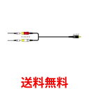 JVC ピンジャックX2-ピンプラグ 0.25M CN-161G 送料無料 【SG65602】(2)