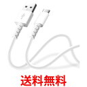 PGA Premium Style [dʐM 炩P[u USB-AtoUSB-C 0.5m zCg PG-YWCA05WH  ySG67317z